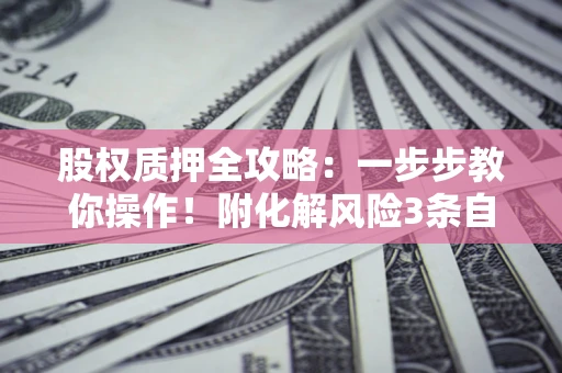 北京股权质押全攻略：一步步教你操作！附化解风险3条自救法则