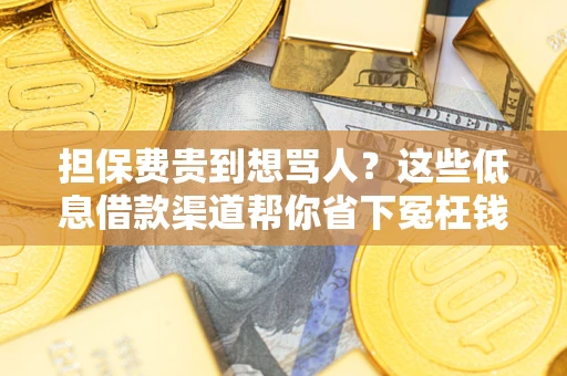 北京担保费贵到想骂人？这些低息借款渠道帮你省下冤枉钱